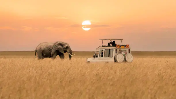 Kenya